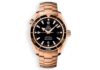 Omega Planet Ocean 600M 42 mm Gold 1st Generation ref.222.60.42.20.01.001 main face